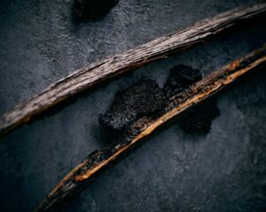 Lire la suite à propos de l’article Le Secret des Gousses de Vanille de Madagascar